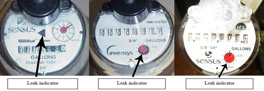 sensus water meter reading gallons